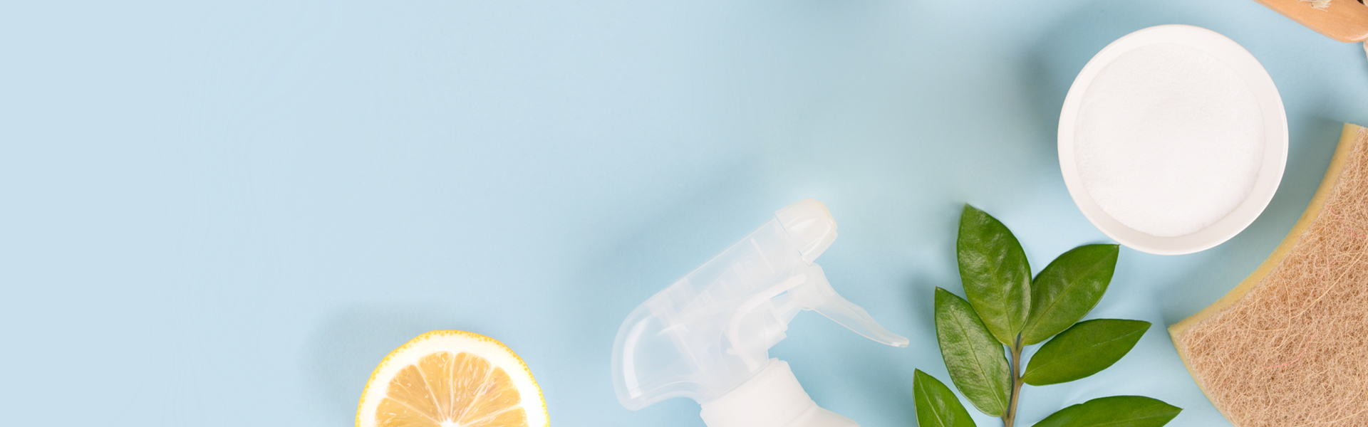 HOUSEHOLD CLEANERS